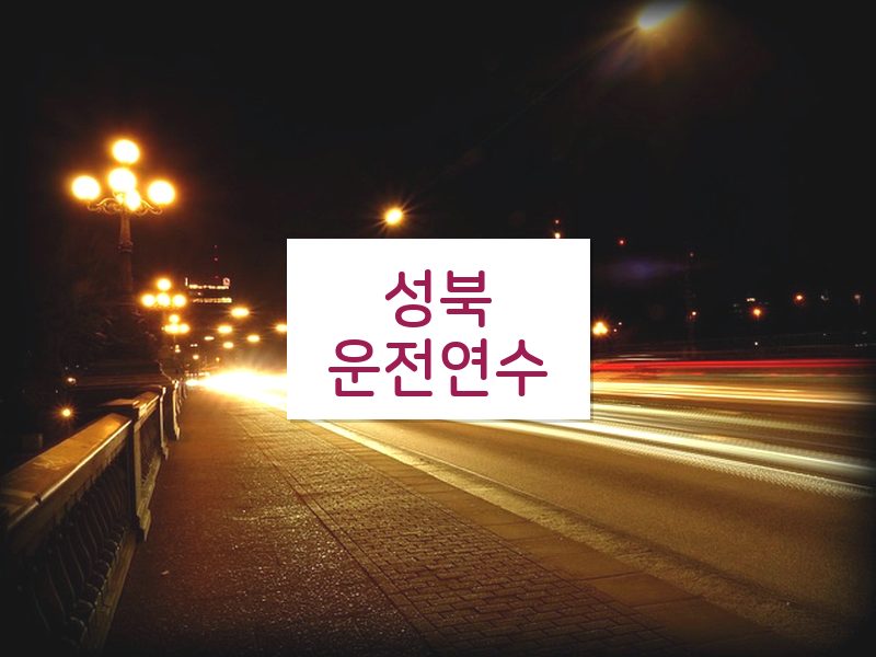 성북운전연수 후기