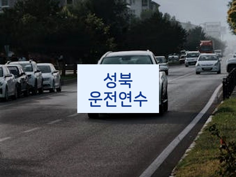 성북운전연수 후기