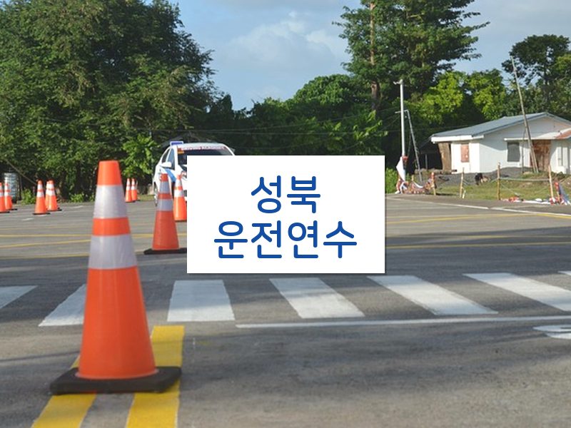 성북운전연수 후기