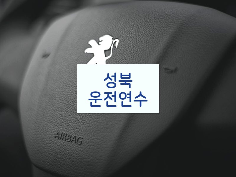 성북운전연수 후기