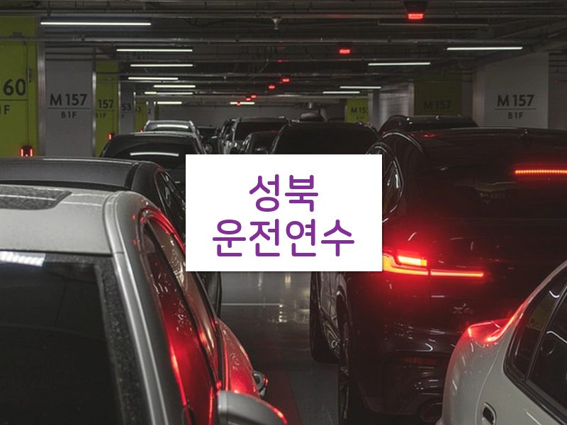성북운전연수 후기