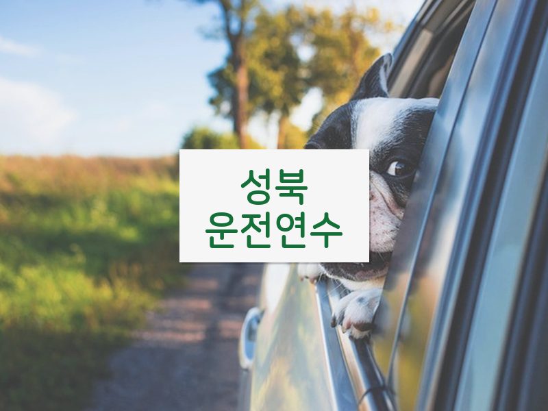 성북운전연수 후기
