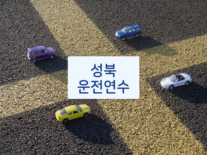 성북운전연수 후기