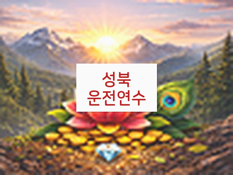 성북운전연수 후기