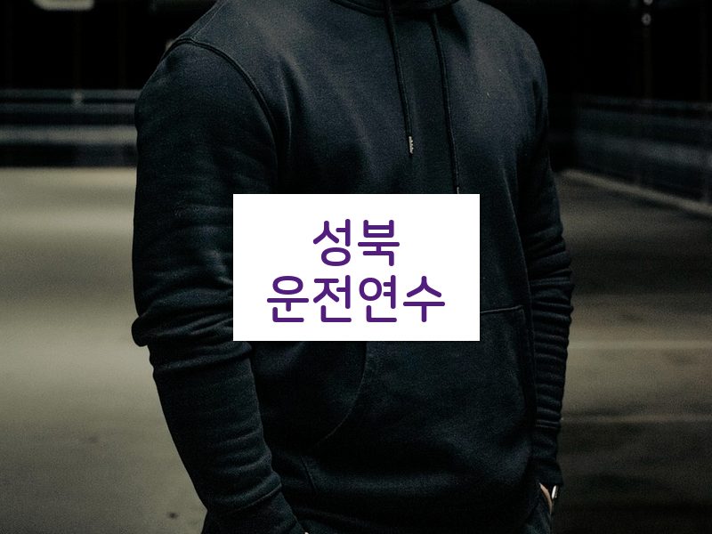 성북운전연수 후기