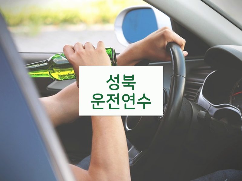 성북운전연수 후기