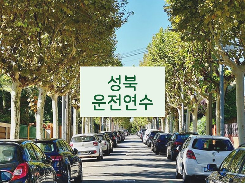 성북운전연수 후기
