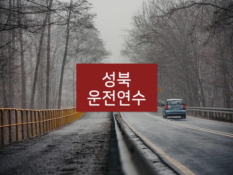 성북운전연수 후기