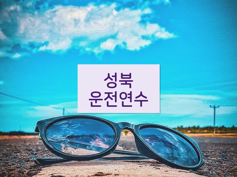 성북운전연수 후기