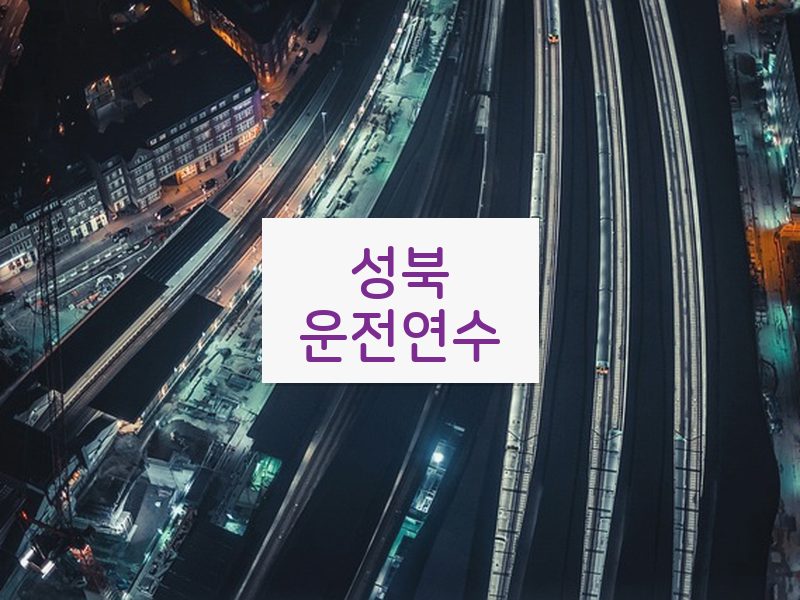 성북운전연수 후기