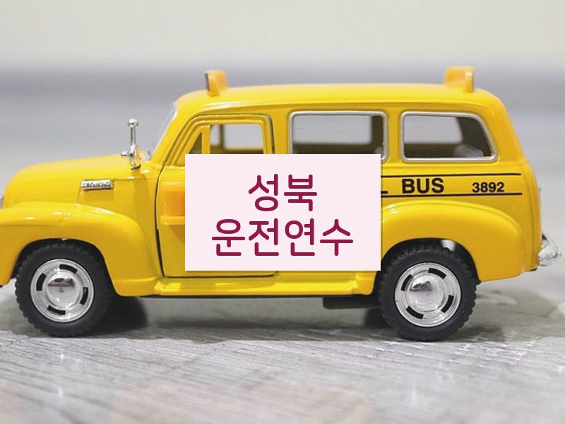 성북운전연수 후기