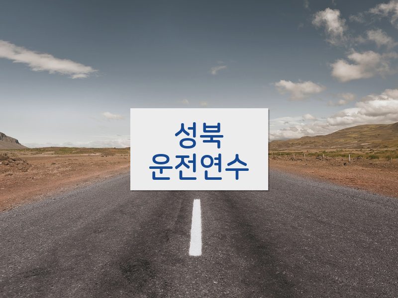 성북운전연수 후기