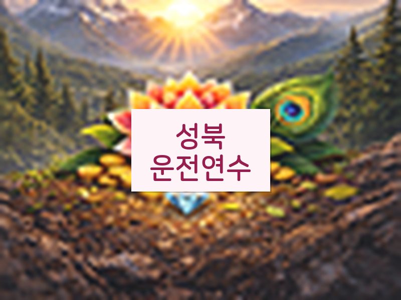성북운전연수 후기