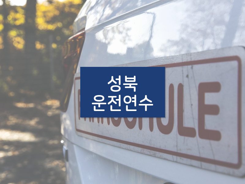 성북운전연수 후기