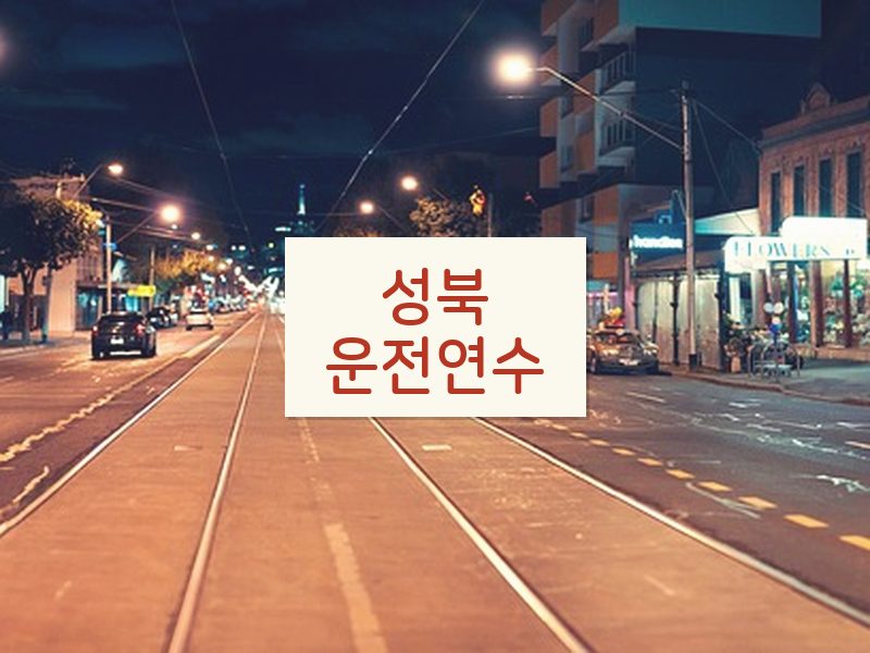 성북운전연수 후기