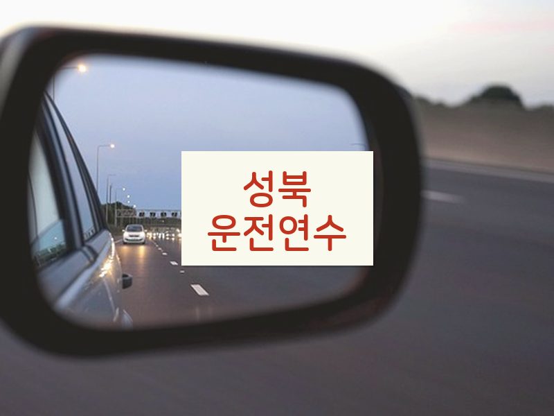 성북운전연수 후기