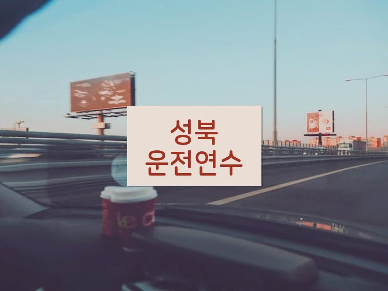 성북운전연수 후기