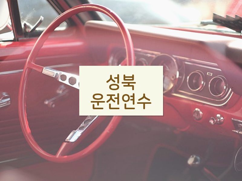 성북운전연수 후기
