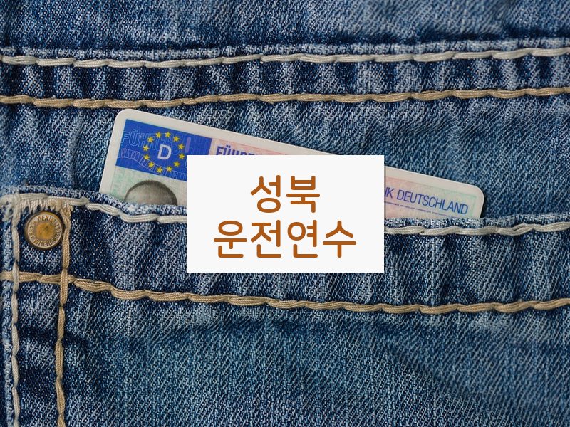 성북운전연수 후기