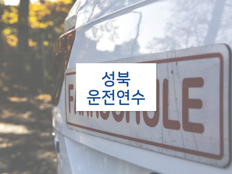 성북운전연수 후기