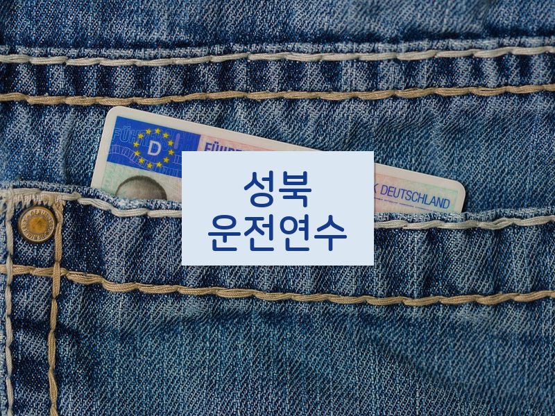 성북운전연수 후기