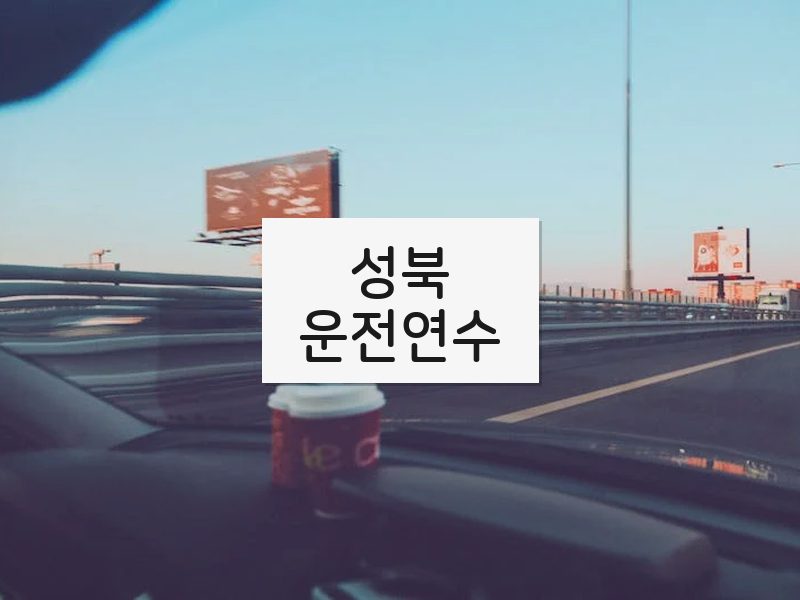 성북운전연수 후기