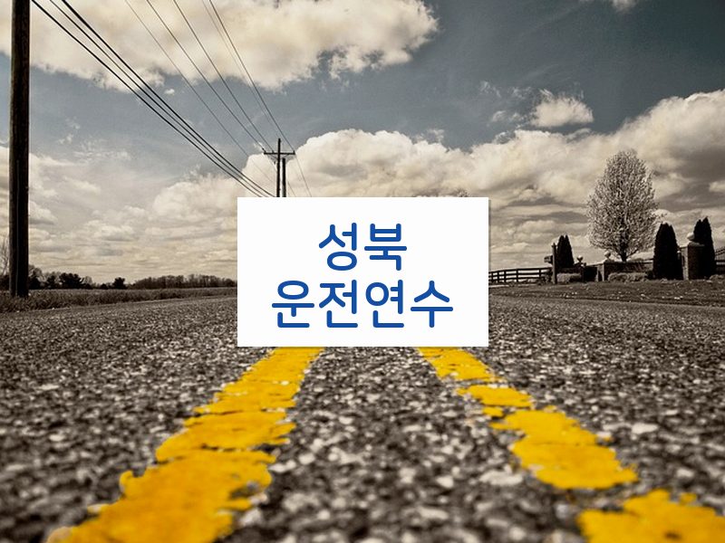 성북운전연수 후기