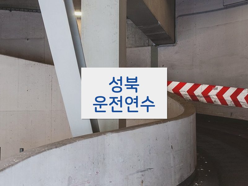 성북운전연수 후기