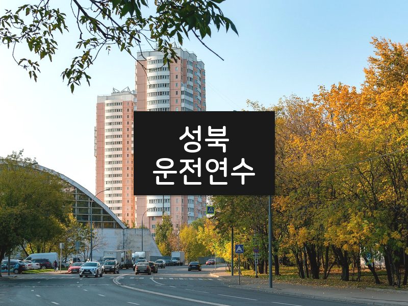 성북운전연수 후기
