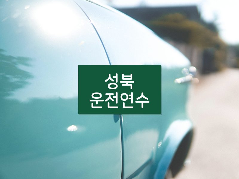 성북운전연수 후기