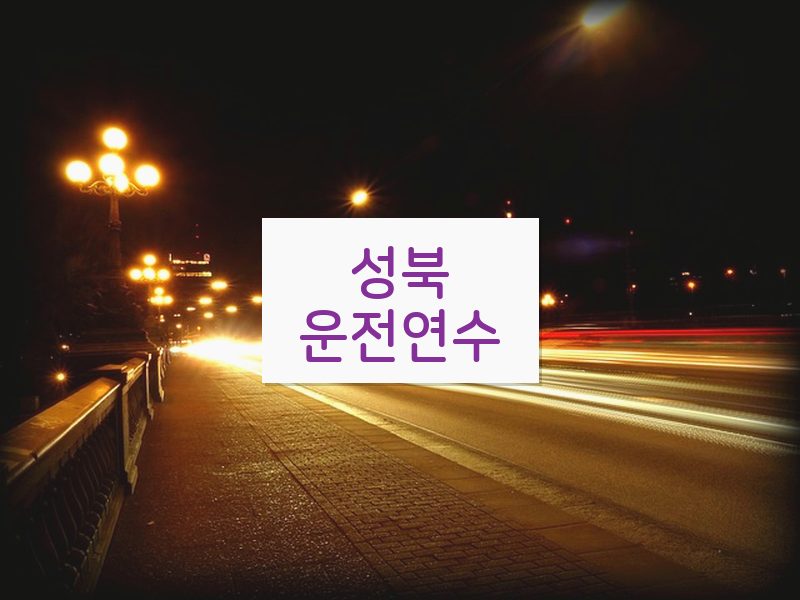 성북운전연수 후기