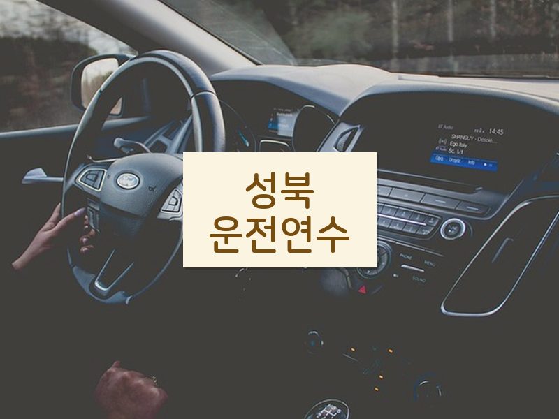 성북운전연수 후기