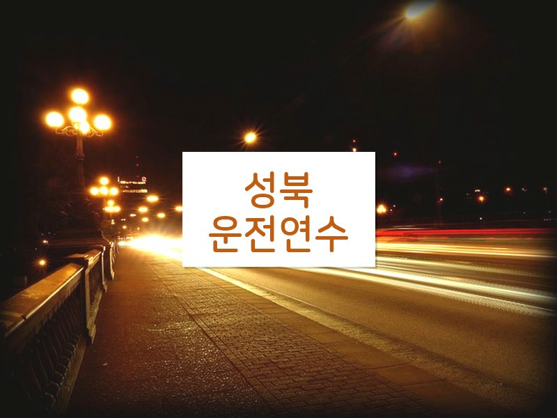 성북운전연수 후기