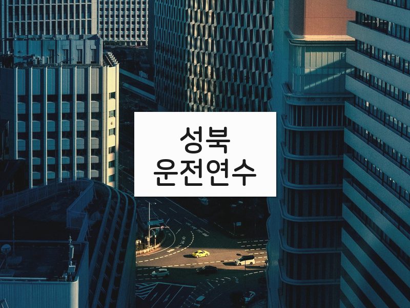 성북운전연수 후기