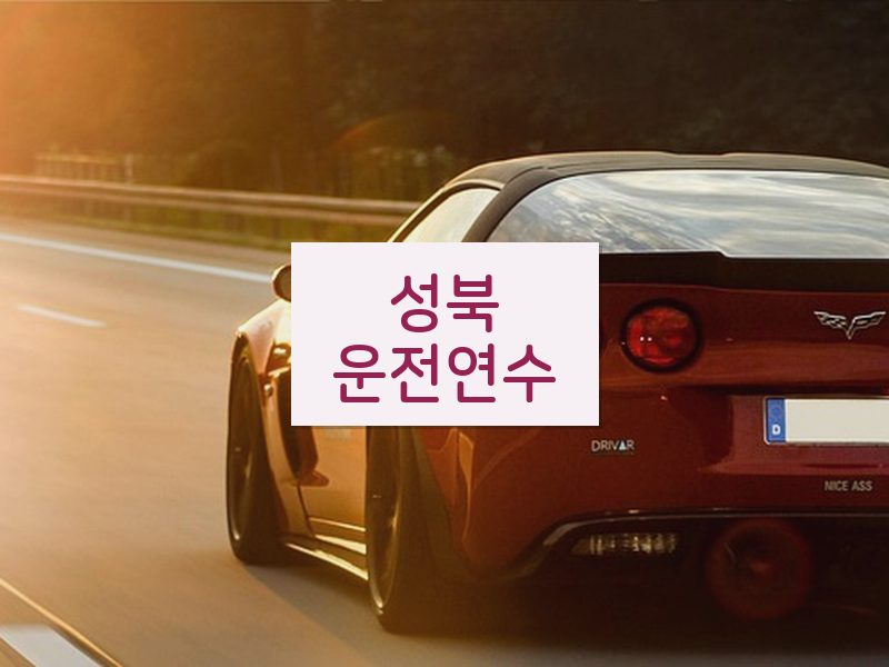 성북운전연수 후기