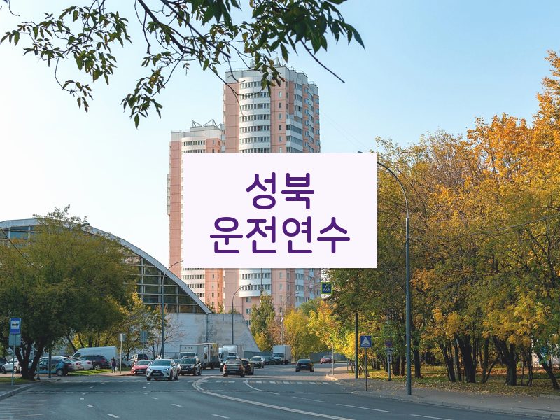 성북운전연수 후기