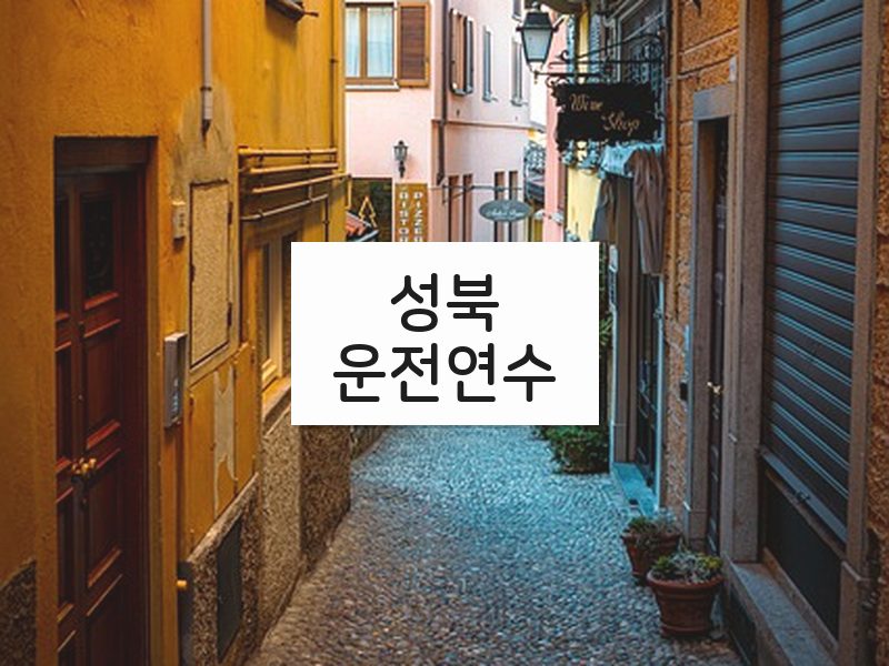 성북운전연수 후기