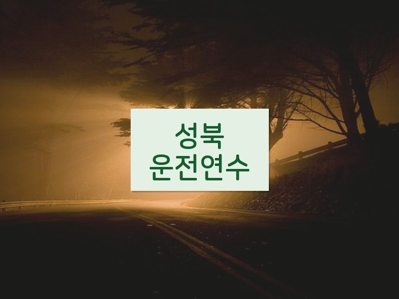 성북운전연수 후기