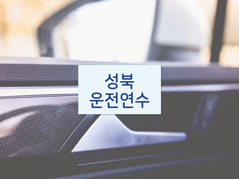 성북운전연수 후기