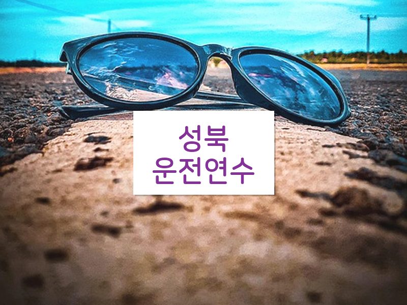 성북운전연수 후기
