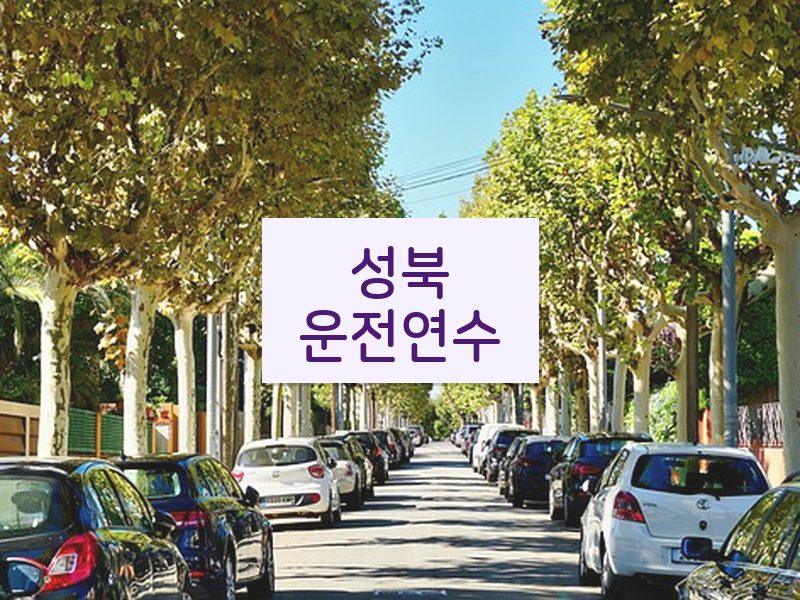 성북운전연수 후기