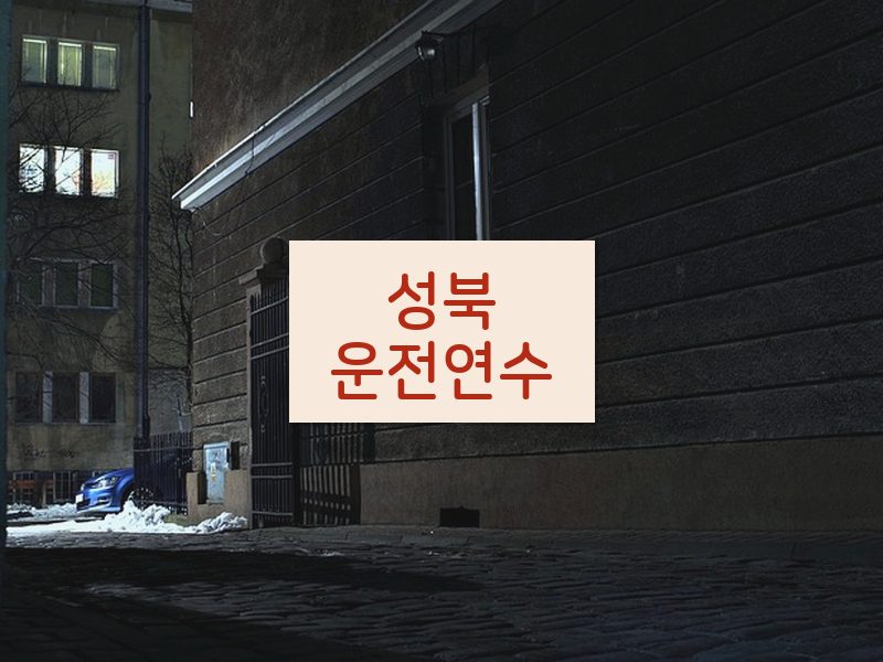 성북운전연수 후기