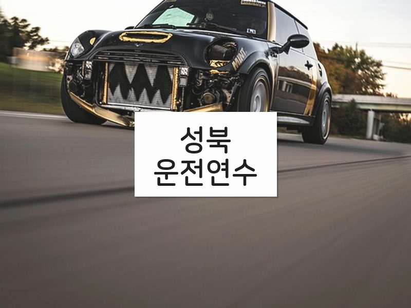 성북운전연수 후기