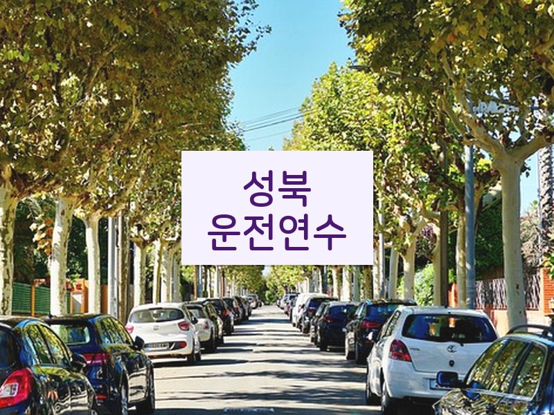성북운전연수 후기
