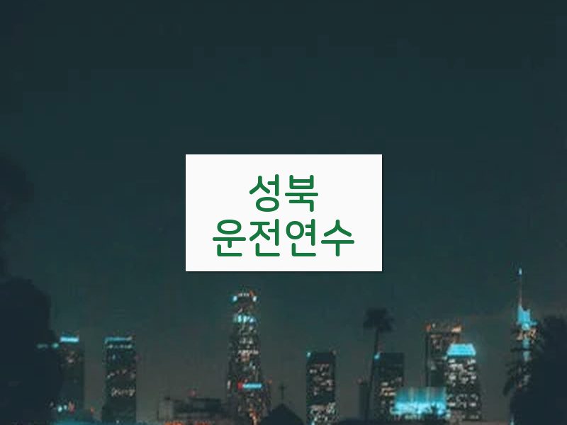 성북운전연수 후기