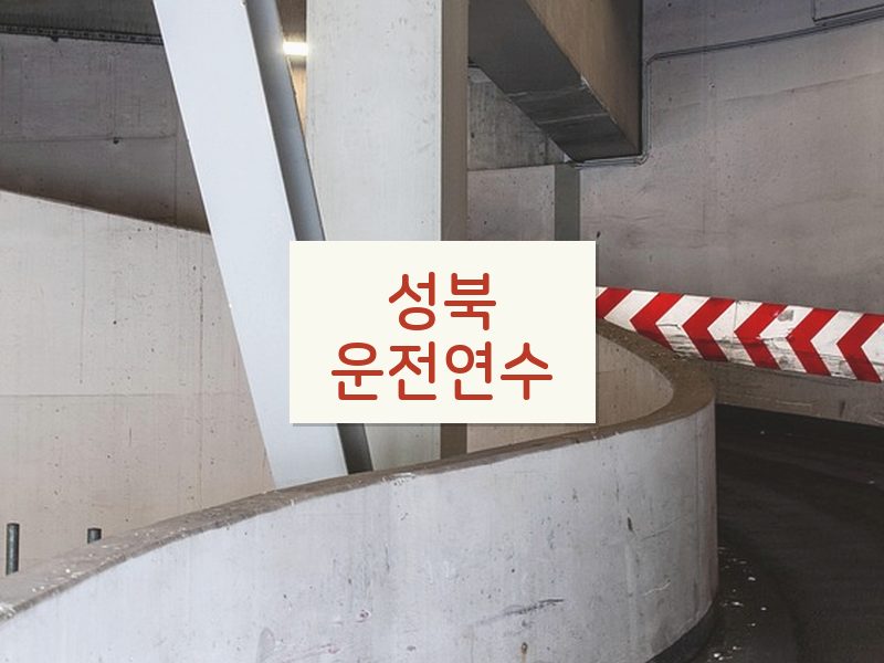 성북운전연수 후기
