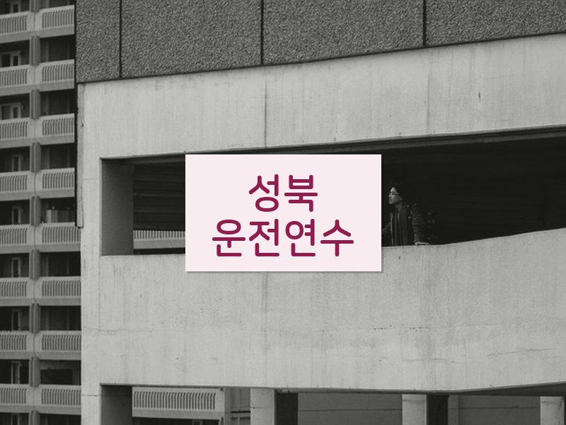 성북운전연수 후기
