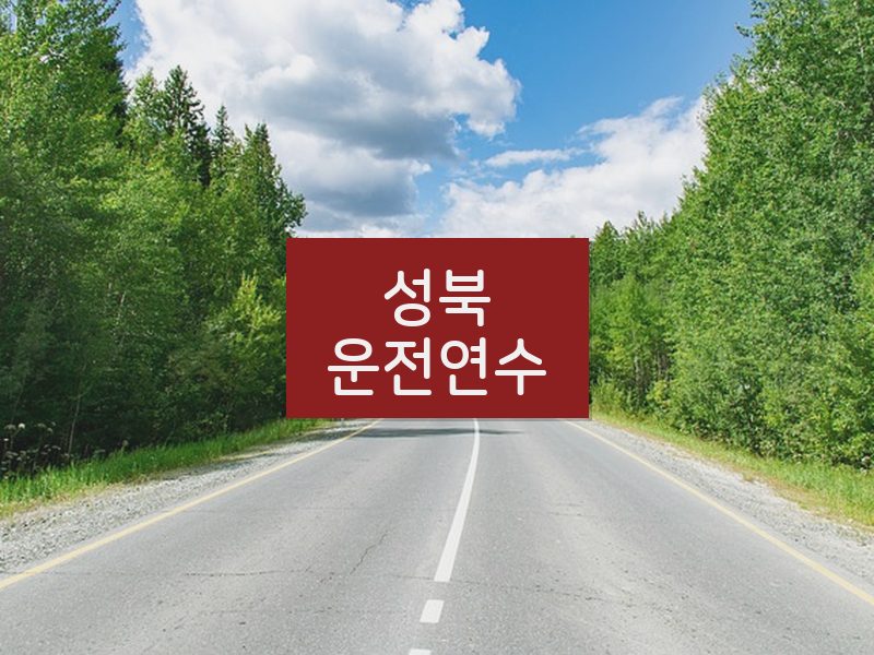 성북운전연수 후기