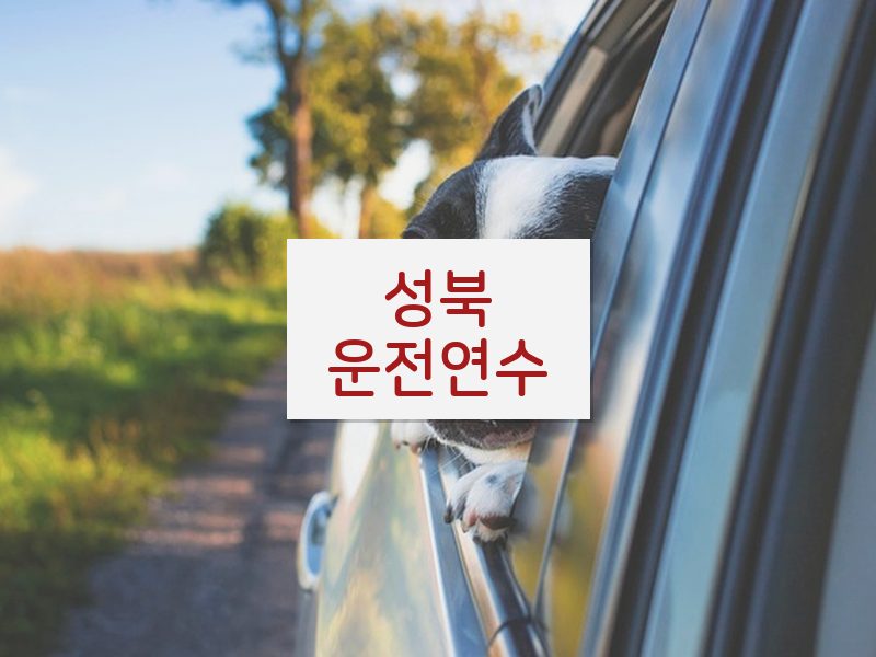 성북운전연수 후기