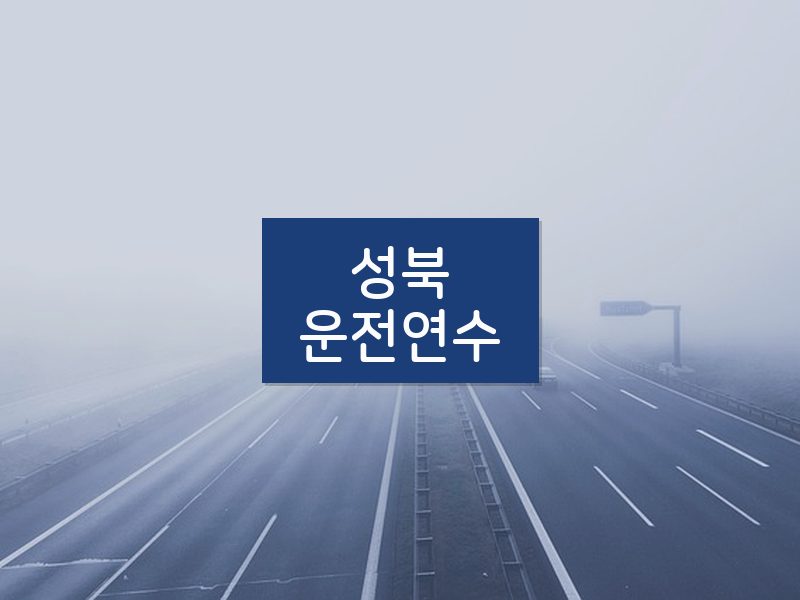 성북운전연수 후기
